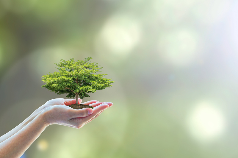 How to Make Packaging and Cardboard Disposal More Sustainable